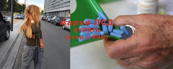 индика Кулебаки