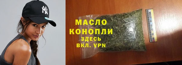 твердый Бородино