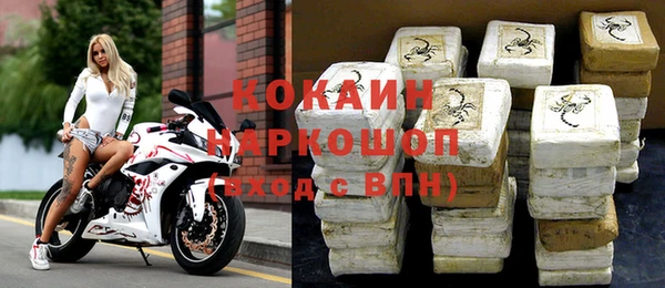 твердый Бородино